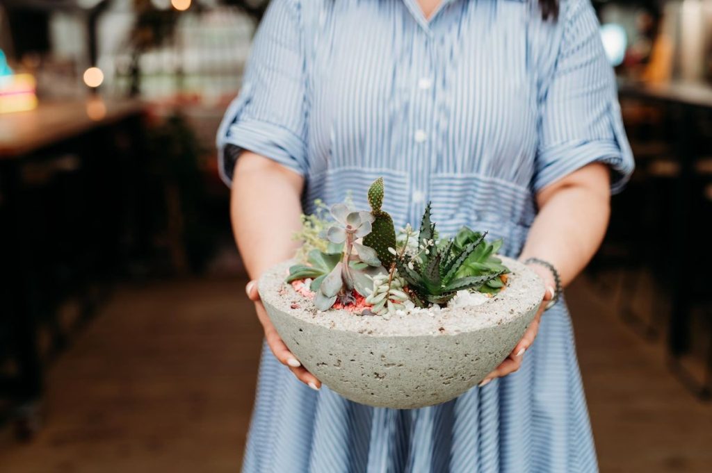 Mark your calendars: An unforgettable evening of succulents and crafts at White Squirrel Brewery awaits!