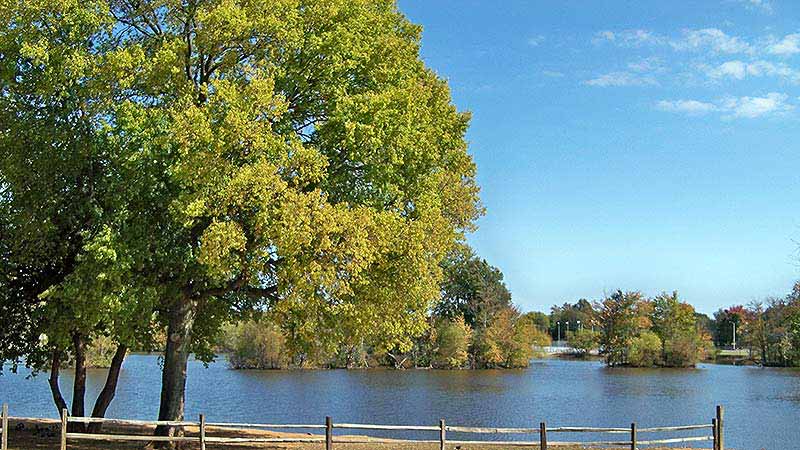 basil griffin park in bowling green kentucky