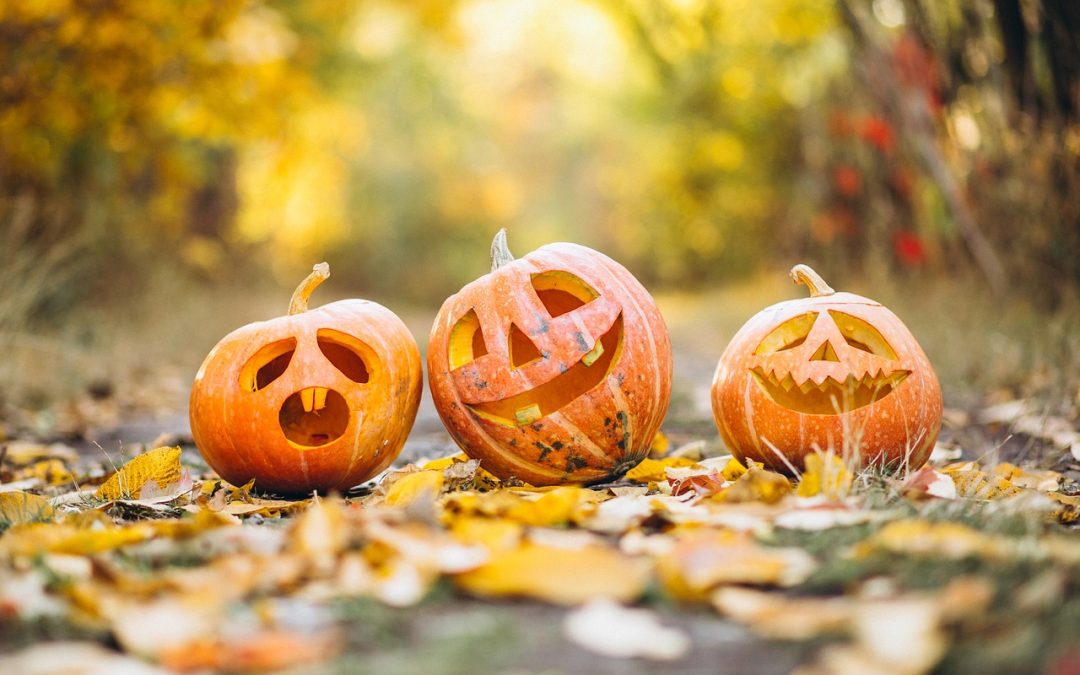 Celebrate Fall at Jackson’s Orchard: Pumpkin Festival Highlights